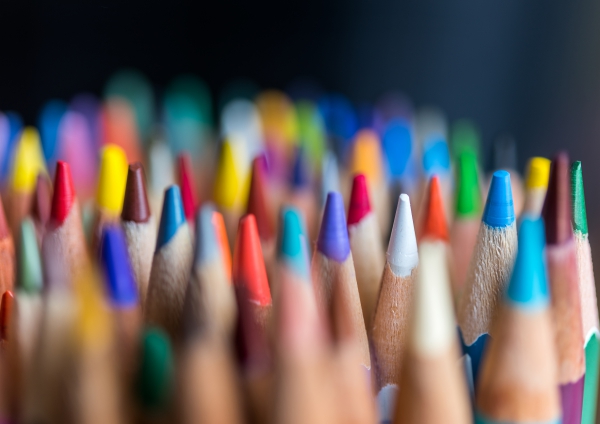 Photo for Her Story in Color                                             