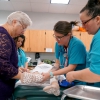 Photo for Clinical Medical Assisting program awarded accreditation through 2028